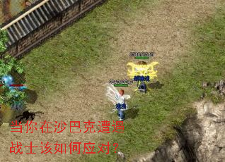 当你在沙巴克遭遇战士该如何应对? 当你在沙巴克遭遇战士该如何应对?