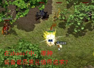 在zhaosf中,哪种装备最昂贵且值得追求? 在zhaosf中,哪种装备最昂贵且值得追求?