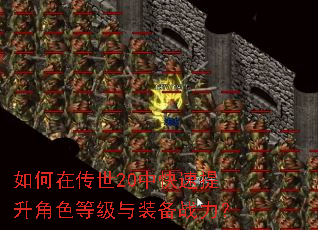 ����ڴ���20�п���������ɫ�ȼ���װ��ս����