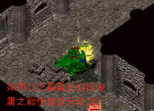 如何让任盈盈在初级金庸之巅快速提升战力? 如何让任盈盈在初级金庸之巅快速提升战力?