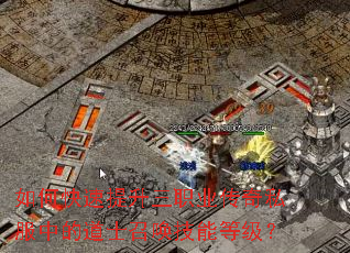 ��ο���������ְҵ����˽���еĵ�ʿ�ٻ����ܵȼ���