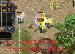 zhaohf今日新开传奇私服如何快速提升等级与获取装备? zhaohf今日新开传奇私服如何快速提升等级与获取装备?