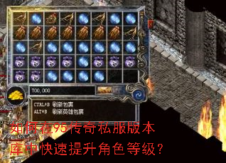 如何在95传奇私服版本库中快速提升角色等级? 如何在95传奇私服版本库中快速提升角色等级?
