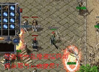 达叔传奇私服激活码如何获取与正确使用? 达叔传奇私服激活码如何获取与正确使用?
