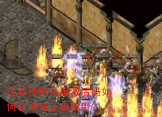达叔传奇私服激活码如何获取与正确使用? 达叔传奇私服激活码如何获取与正确使用?