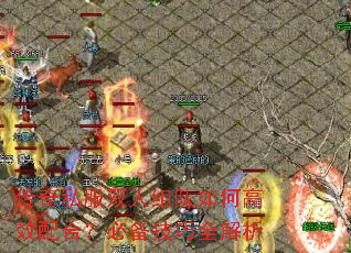 传奇私服双人组队如何高效配合?必备技巧全解析 传奇私服双人组队如何高效配合?必备技巧全解析