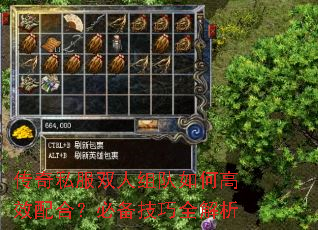 传奇私服双人组队如何高效配合?必备技巧全解析 传奇私服双人组队如何高效配合?必备技巧全解析