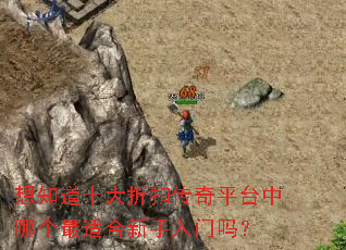 想知道十大折扣传奇平台中哪个最适合新手入门吗? 想知道十大折扣传奇平台中哪个最适合新手入门吗?