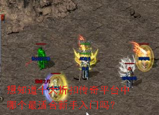 想知道十大折扣传奇平台中哪个最适合新手入门吗? 想知道十大折扣传奇平台中哪个最适合新手入门吗?