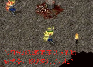 传奇私服玩家梦寐以求的顶级武器,你收集到了几把? 传奇私服玩家梦寐以求的顶级武器,你收集到了几把?