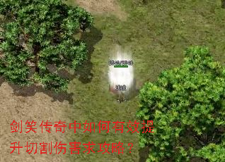 剑笑传奇中如何有效提升切割伤害求攻略? 剑笑传奇中如何有效提升切割伤害求攻略?