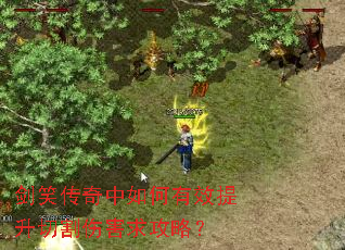 剑笑传奇中如何有效提升切割伤害求攻略? 剑笑传奇中如何有效提升切割伤害求攻略?