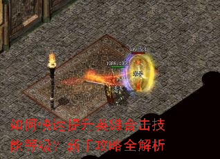 如何快速提升英雄合击技能等级?新手攻略全解析 如何快速提升英雄合击技能等级?新手攻略全解析