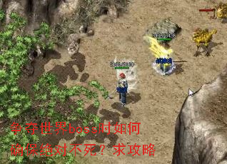 争夺世界boss时如何确保绝对不死?求攻略 争夺世界boss时如何确保绝对不死?求攻略