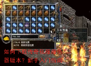 如何下载传奇私服服务器版本?新手入门指南 如何下载传奇私服服务器版本?新手入门指南