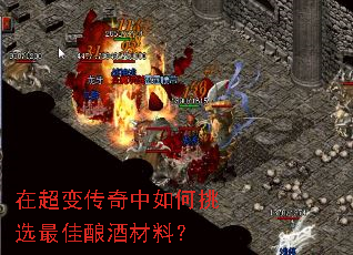 在超变传奇中如何挑选最佳酿酒材料? 在超变传奇中如何挑选最佳酿酒材料?