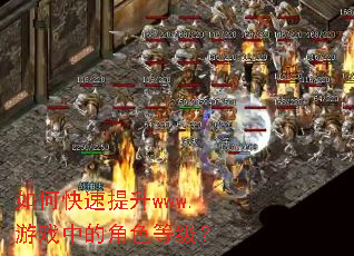 如何快速提升www.游戏中的角色等级? 如何快速提升www.游戏中的角色等级?