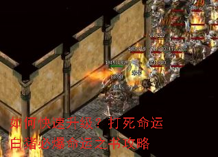 如何快速升级?打死命运白猪必爆命运之书攻略 如何快速升级?打死命运白猪必爆命运之书攻略