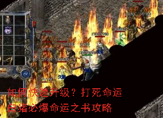 如何快速升级?打死命运白猪必爆命运之书攻略 如何快速升级?打死命运白猪必爆命运之书攻略