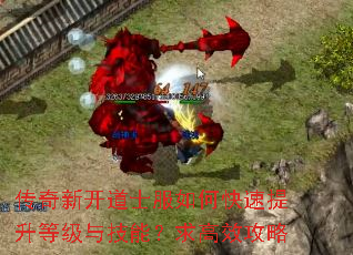 传奇新开道士服如何快速提升等级与技能?求高效攻略 传奇新开道士服如何快速提升等级与技能?求高效攻略