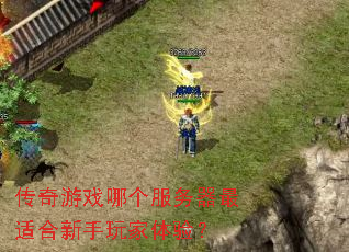 传奇游戏哪个服务器最适合新手玩家体验? 传奇游戏哪个服务器最适合新手玩家体验?
