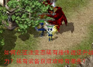 如何在征途变态稀有服快速提升战力?稀有装备获取攻略有哪些? 如何在征途变态稀有服快速提升战力?稀有装备获取攻略有哪些?