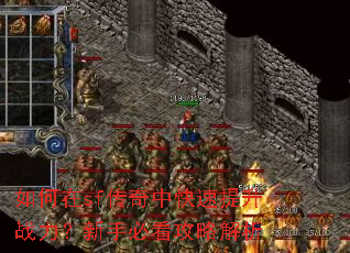 如何在sf传奇中快速提升战力?新手必看攻略解析 如何在sf传奇中快速提升战力?新手必看攻略解析