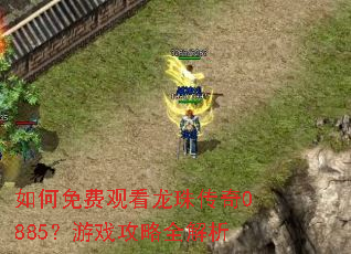 如何免费观看龙珠传奇0885?游戏攻略全解析 如何免费观看龙珠传奇0885?游戏攻略全解析