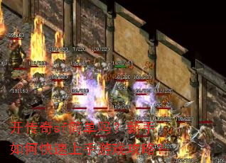 开传奇sf简单吗?新手如何快速上手游戏攻略? 开传奇sf简单吗?新手如何快速上手游戏攻略?