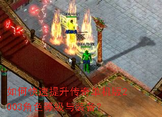 如何快速提升传奇单机版2003角色等级与装备? 如何快速提升传奇单机版2003角色等级与装备?