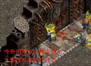 传奇游戏盒子哪个好玩?求推荐攻略与技巧 传奇游戏盒子哪个好玩?求推荐攻略与技巧