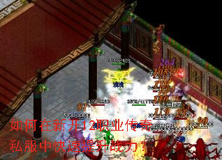如何在新开12职业传奇私服中快速提升战力? 如何在新开12职业传奇私服中快速提升战力?