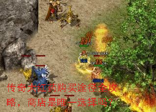 传奇大红药购买途径全攻略,商店是唯一选择吗? 传奇大红药购买途径全攻略,商店是唯一选择吗?