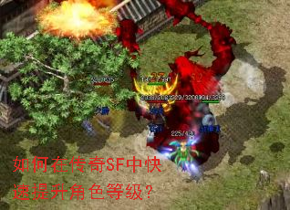 ����ڴ���SF�п���������ɫ�ȼ���
