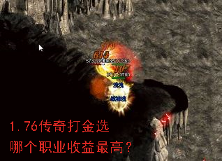 1.76������ѡ�ĸ�ְҵ������ߣ�