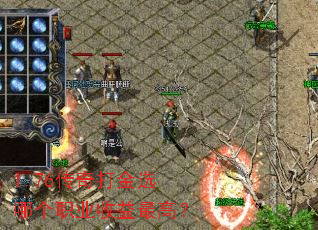 1.76������ѡ�ĸ�ְҵ������ߣ�