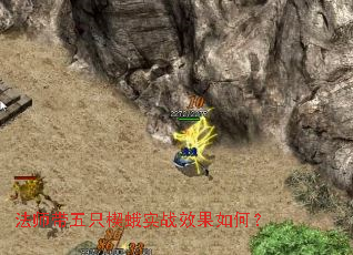 法师带五只楔蛾实战效果如何? 法师带五只楔蛾实战效果如何?