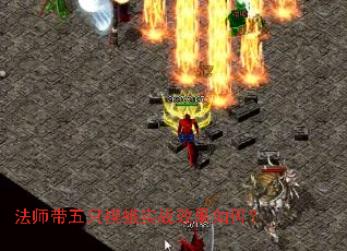 法师带五只楔蛾实战效果如何? 法师带五只楔蛾实战效果如何?