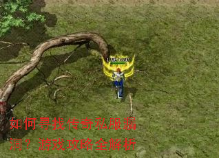 如何寻找传奇私服漏洞?游戏攻略全解析 如何寻找传奇私服漏洞?游戏攻略全解析