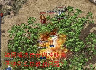如何解决传奇内挂缺失怪物简装功能的问题? 如何解决传奇内挂缺失怪物简装功能的问题?