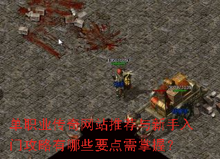 ��ְҵ������վ�Ƽ����������Ź�������ЩҪ�������գ�