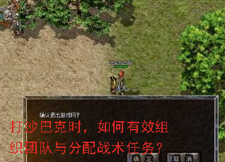 打沙巴克时,如何有效组织团队与分配战术任务? 打沙巴克时,如何有效组织团队与分配战术任务?