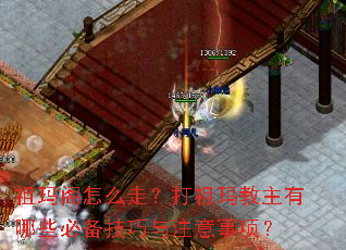 祖玛阁怎么走?打祖玛教主有哪些必备技巧与注意事项? 祖玛阁怎么走?打祖玛教主有哪些必备技巧与注意事项?