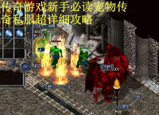 传奇游戏新手必读宠物传奇私服超详细攻略