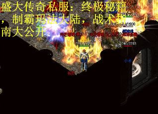 盛大传奇私服：终极秘籍，制霸玛法大陆，战术指南大公开