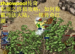 zhaowoool传奇私服之终极攻略：如何称霸玛法大陆，一统传奇江湖