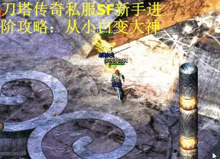 刀塔传奇私服SF新手进阶攻略：从小白变大神