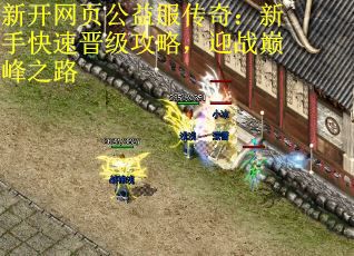 新开网页公益服传奇：新手快速晋级攻略，迎战巅峰之路