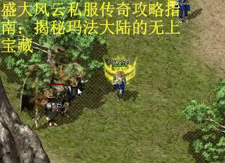 盛大风云私服传奇攻略指南：揭秘玛法大陆的无上宝藏