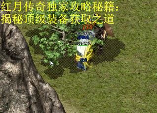 红月传奇独家攻略秘籍：揭秘顶级装备获取之道